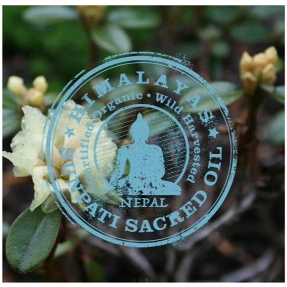 Rare Treasures Above The Clouds Cleansing Hair Treatment By Tweakd By Nature 3oz - Picture 3 of 4